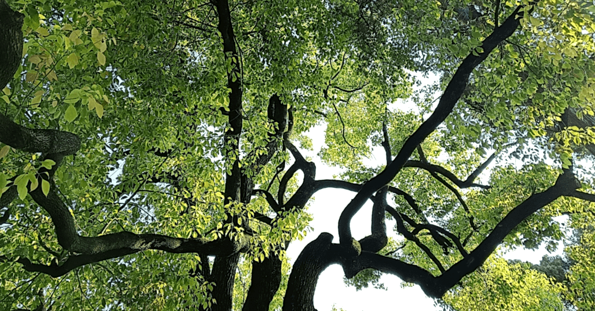 Sustainability & ESG Support 